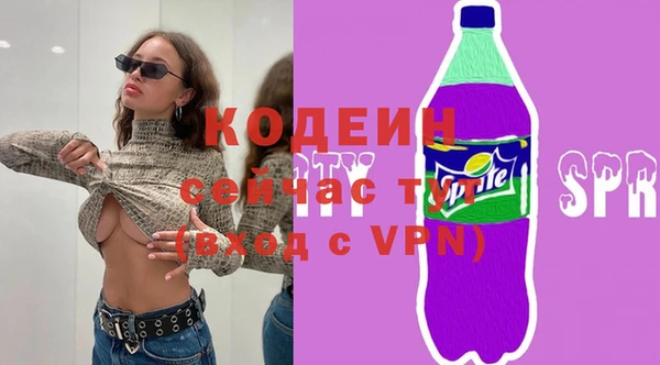 гашик Новодвинск