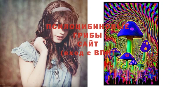 не бодяженный Болхов