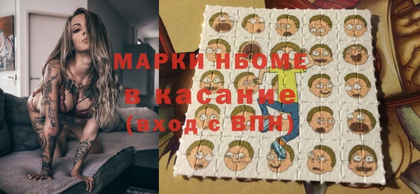 гашик Новодвинск