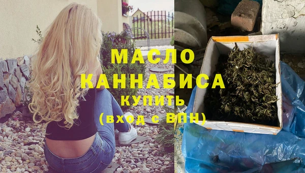 гашик Новодвинск