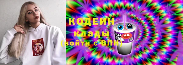 стаф Елизово