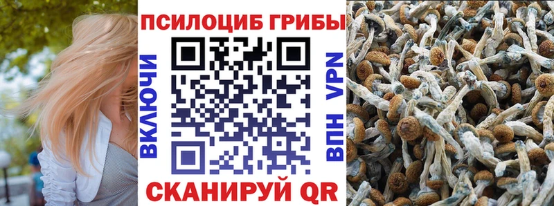 Псилоцибиновые грибы Magic Shrooms  купить   Кировград 